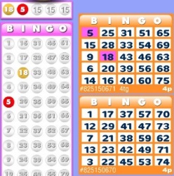 Beatle Bingo offers bingo games such as 90 ball, 75 ball and 52 card