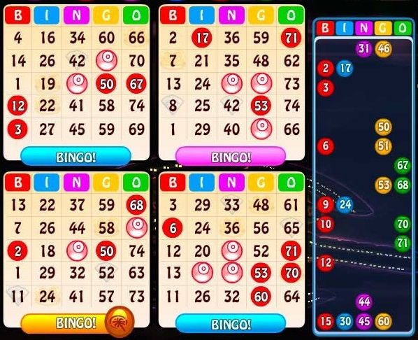 Why the bingo gaming variety is important?