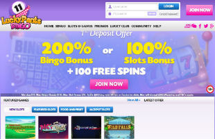 Discover the features that Lucky Pants Bingo can offer