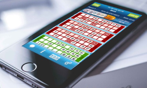 What programmes for mobile devices do bingo website use?