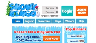 Review of Snowy Bingo's games, bonuses and services