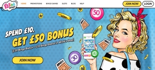 Review of Wink Bingo's games, bonuses and services