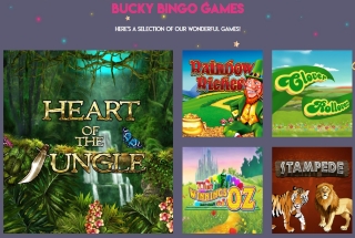 You can find a wide range of bingo games at Bucky Bingo