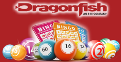 Dragonfish network of bingo sites