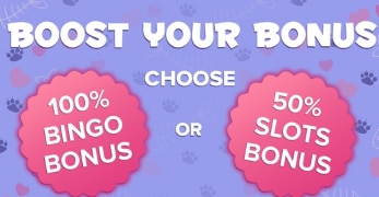 You get bonuses as a newcomer at Kitty Bingo