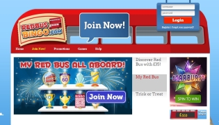 Comprehensive Review of Red Bus Bingo and it's features