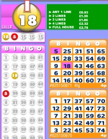 You can play 3 types of bingo at Scary Bingo.