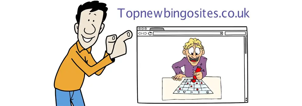 Bingo Betting Video Summary